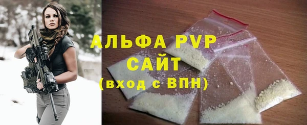 ПСИЛОЦИБИНОВЫЕ ГРИБЫ Заводоуковск