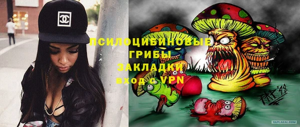 ПСИЛОЦИБИНОВЫЕ ГРИБЫ Заводоуковск