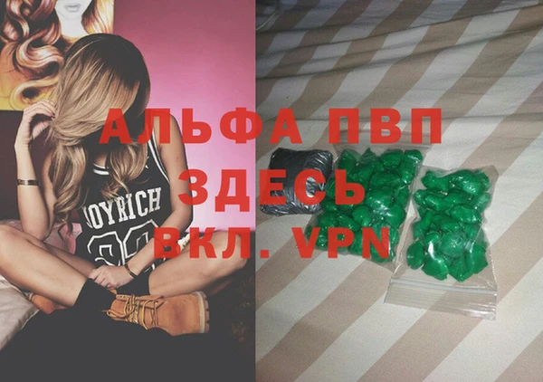 индика Новодвинск