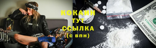 ПСИЛОЦИБИНОВЫЕ ГРИБЫ Заводоуковск