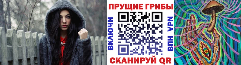 Псилоцибиновые грибы мицелий  Ишим 