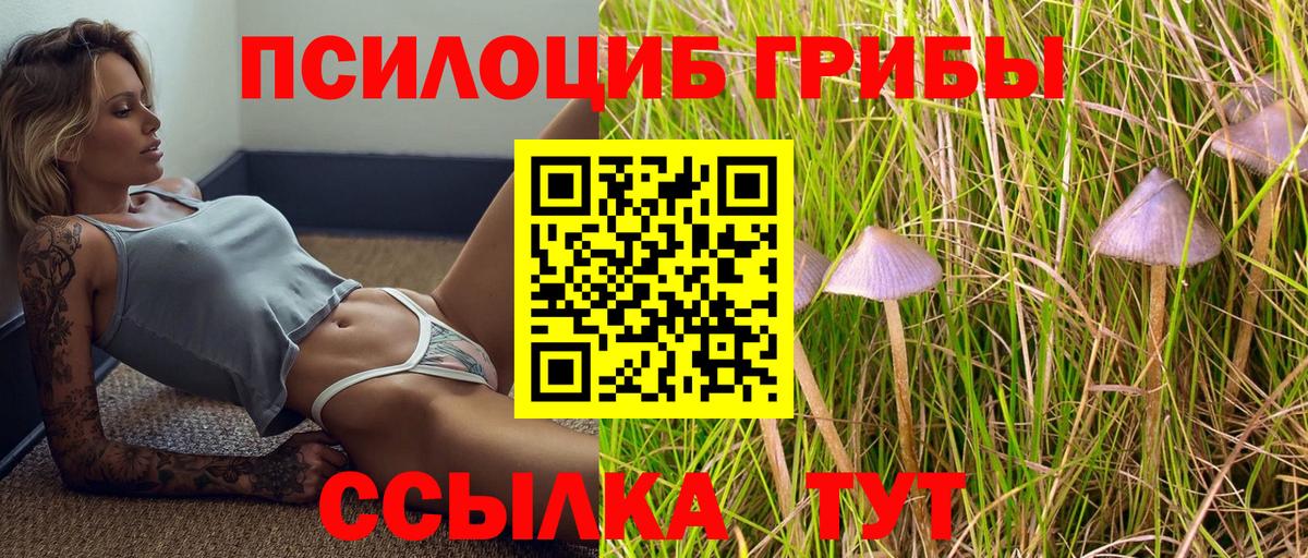 Галлюциногенные грибы ЛСД Ишим