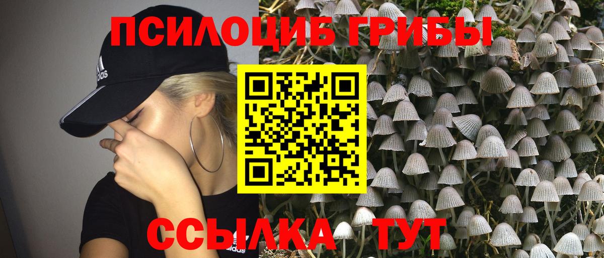 Псилоцибиновые грибы GOLDEN TEACHER  Вход с VPN  Ишим 